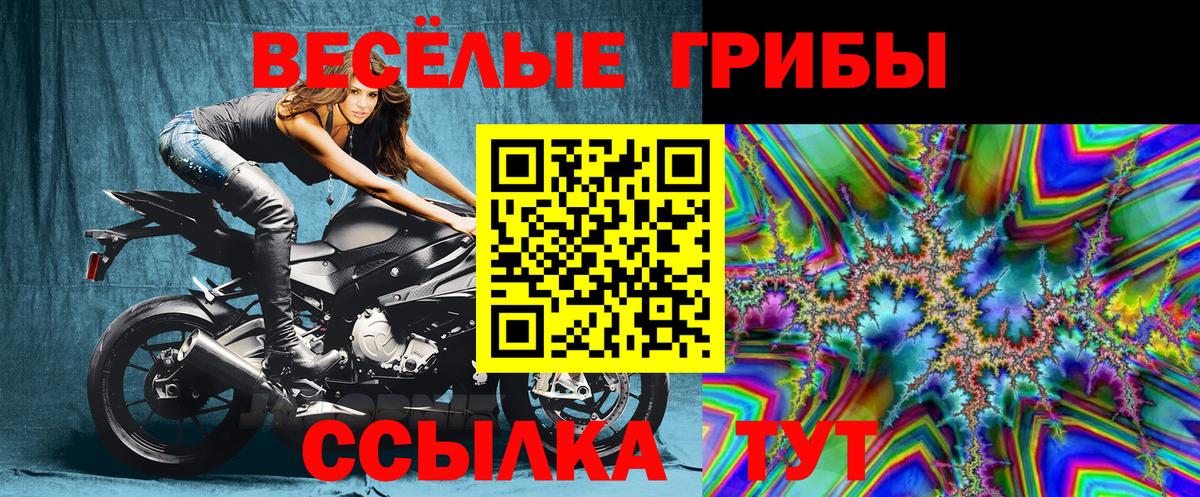 Симферополь  Псилоцибиновые грибы GOLDEN TEACHER  что такое наркотик  Вход с VPN 