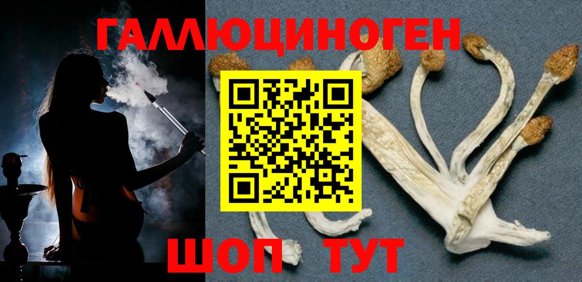 Галлюциногенные грибы GOLDEN TEACHER Симферополь